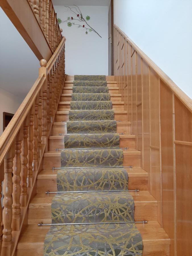 Apartmaji Tisa Moravske Toplice Exterior foto