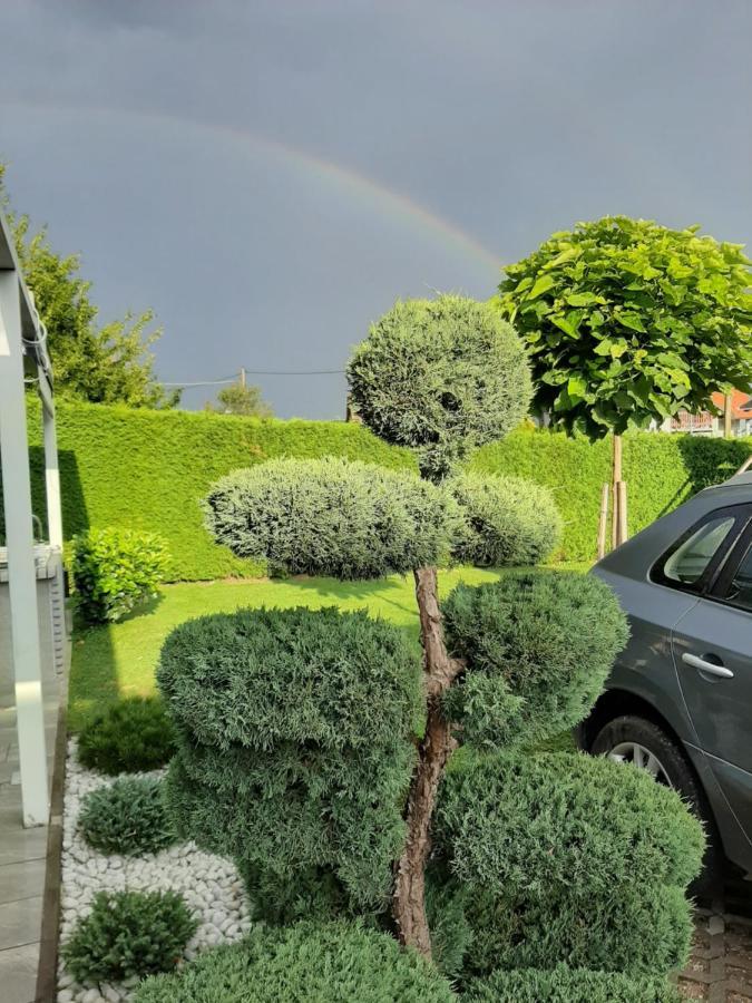 Apartmaji Tisa Moravske Toplice Exterior foto